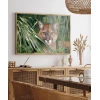 Ormandaki Puma Poster