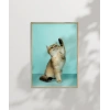 Oynayan Kedi Poster