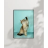 Oynayan Kedi Poster