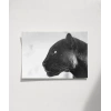 Panter Portresi Poster
