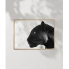 Panter Portresi Poster