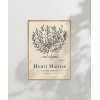 Pembe Matisse Doğa İlhamlı Sanat Poster