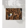 Penguenler Arasında Poster