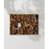 Penguenler Arasında Poster