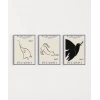 Picasso Minimal Çizgi Sanatı 3lü Poster