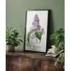 Pierre Joseph Redoure Lilac Poster