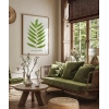 Polypodium Inaequale Poster