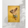 Sarı Fondaki Fransız Bulldog Poster