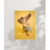 Sarı Fondaki Fransız Bulldog Poster