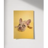 Sarı Zemin Üzerinde Sevimli Köpek Poster