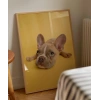 Sarı Zemin Üzerinde Sevimli Köpek Poster