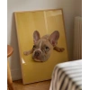 Sarı Zemin Üzerinde Sevimli Köpek Poster