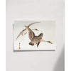 Sessiz Kanatlar Poster