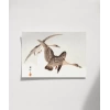 Sessiz Kanatlar Poster