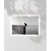 Sessizliğin Kanatları Poster