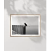 Sessizliğin Kanatları Poster