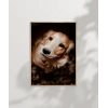 Sevimli Golden Köpek Poster