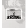 Siyah Beyaz Denge Poster