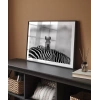 Siyah Beyaz Denge Poster