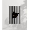 Siyah Kedinin Gizemi Poster