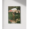 Su Kenarında Flamingo Poster