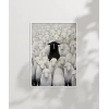 Sürüde Bir Terslik Var Poster