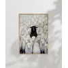 Sürüde Bir Terslik Var Poster