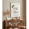 Taguchi Tomoki Kuşlar ve Kelebek Poster