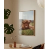 Tarlada Dinlenen İnek Poster