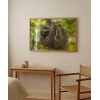 Tembel Hayvan Zamanı Poster