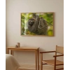 Tembel Hayvan Zamanı Poster