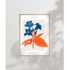 Turuncu ve Mavinin Ahenki Poster