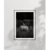 Uyumun Sessizliği Poster