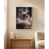 Uyuyan Kedi Poster