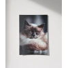 Uyuyan Kedi Poster