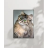 Uzun Tüylü Gri Kedi Poster