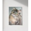 Uzun Tüylü Gri Kedi Poster