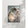 Uzun Tüylü Gri Kedi Poster