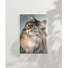 Uzun Tüylü Gri Kedi Poster