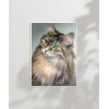 Uzun Tüylü Gri Kedi Poster