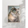 Uzun Tüylü Gri Kedi Poster
