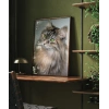 Uzun Tüylü Gri Kedi Poster