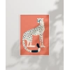Vahşi Zarafet Poster