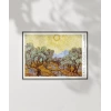 Vincent Van Gogh Zeytin Ağaçları Poster
