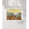 Vincent Van Gogh Zeytin Ağaçları Poster
