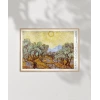 Vincent Van Gogh Zeytin Ağaçları Poster