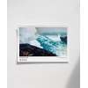 Winslow Homer Kuzeydoğu Poster