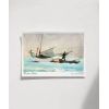 Winslow Homer Yelken İstifleme Poster