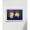 Yaprak Yansımaları Poster