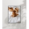 Yatak Üstünde Yatan Köpek Poster